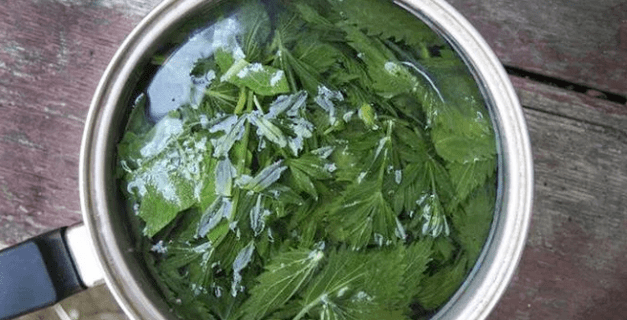 Halk ilaçlarıyla saç dökülmesi tedavisi